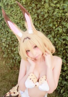 驯服电影_HD日韩免费观看